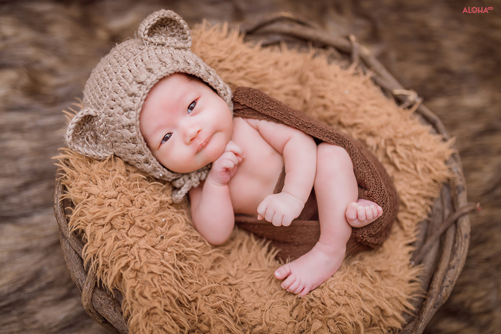 album ảnh newborn 15